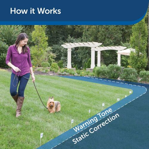 Petsafe Bark Control Collar